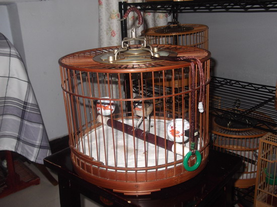 DSCF1554.JPG