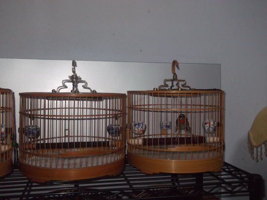 DSCF1515.JPG