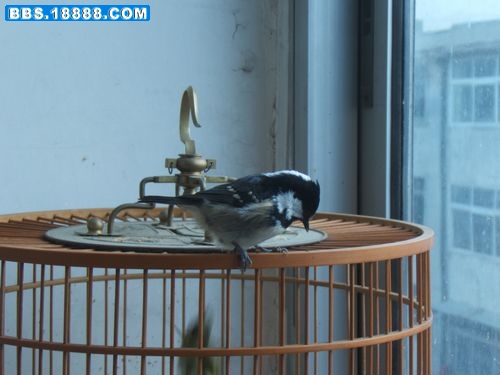 DSCF3820.jpg
