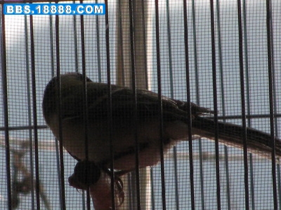 IMG_9956_调整大小_调整大小.JPG