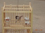 DSC00804.jpg