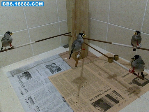 42.jpg