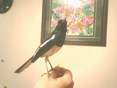 IMG0614A.jpg