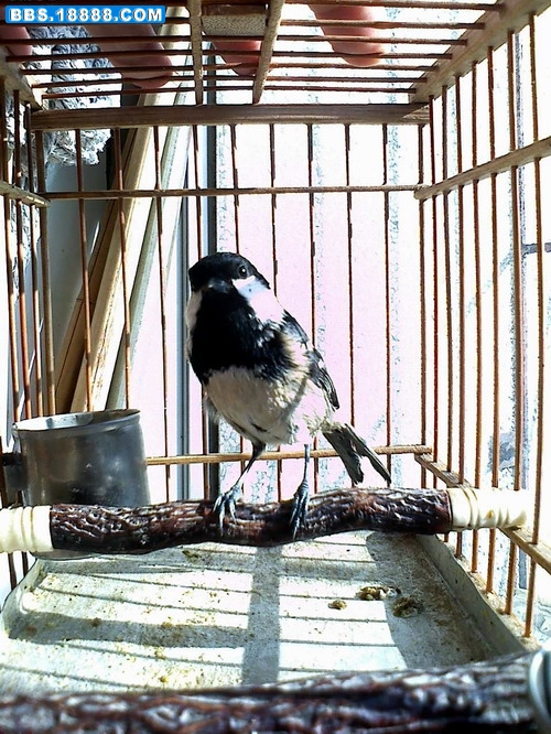 IMG00355.JPG