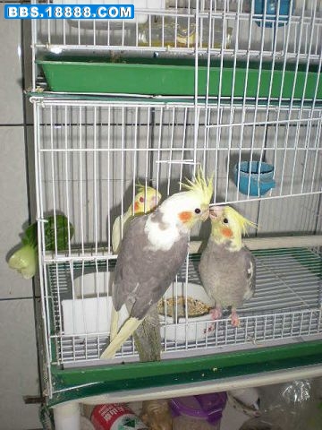 DSCN0594.JPG