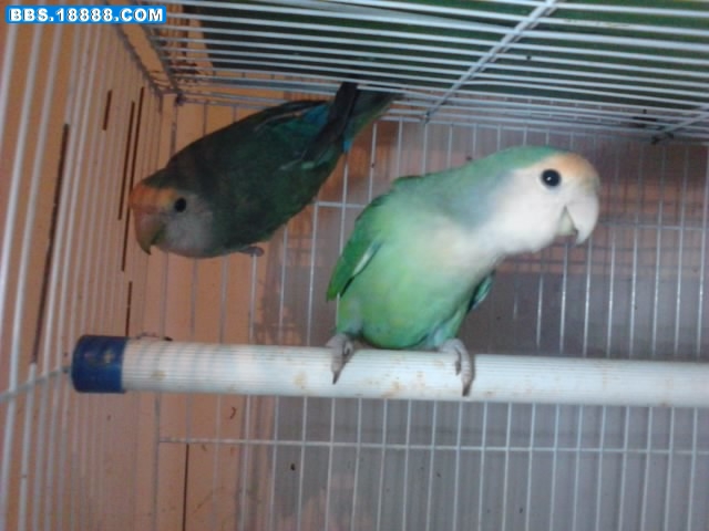 P171211_00.05_[03].jpg