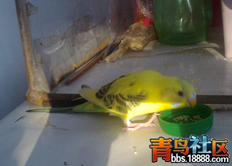 20111225755_副本.jpg