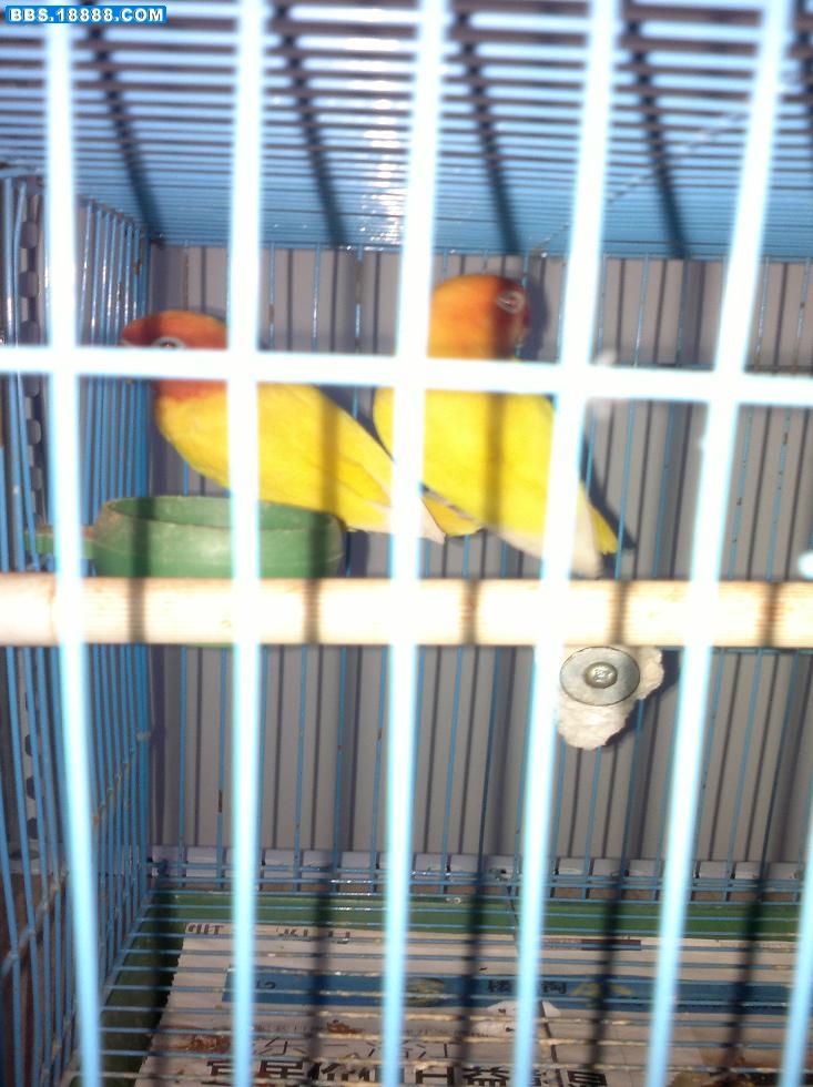 20111207047.jpg