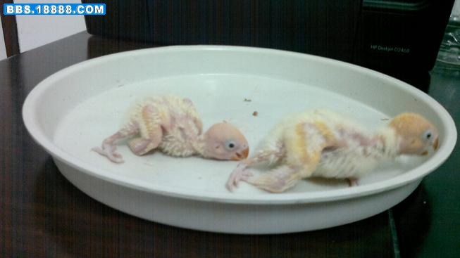 20111204043.jpg