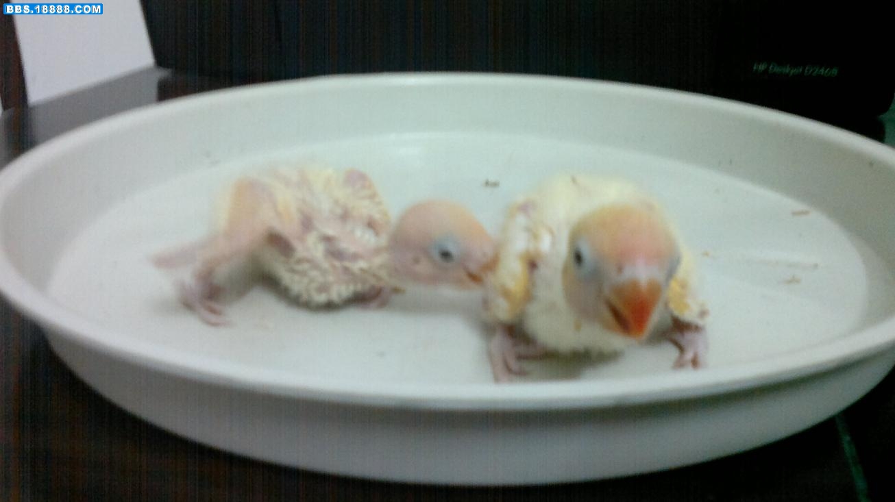 20111204042.jpg