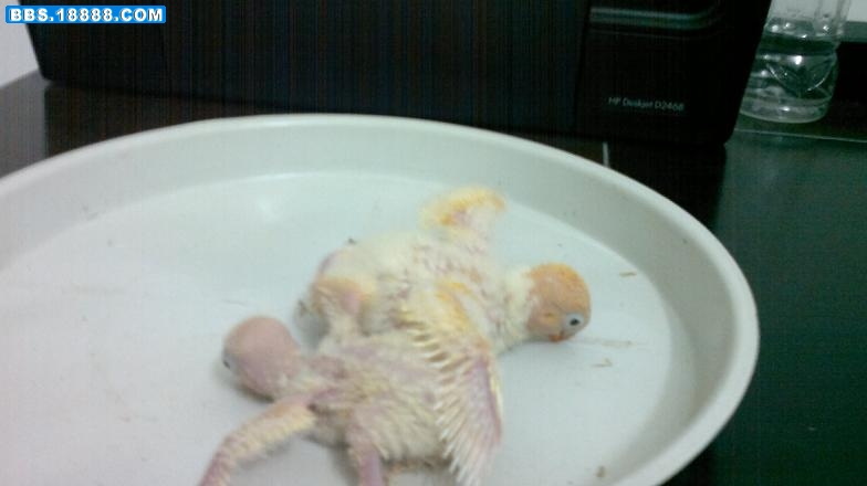 20111204041.jpg
