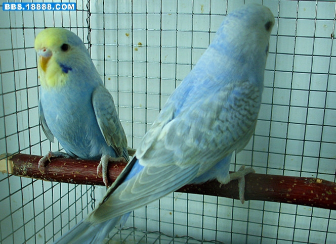 DSC00852_副本_副本.jpg