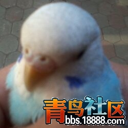 1324788179766[1].jpg