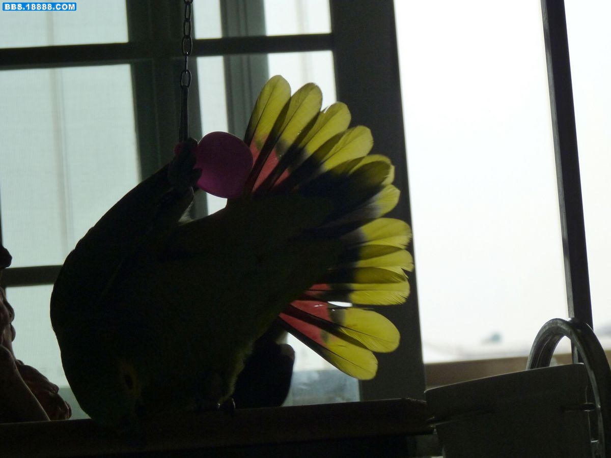 P1080469.JPG