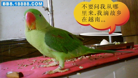 DSC00640_副本.jpg