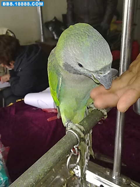 20111108111.jpg