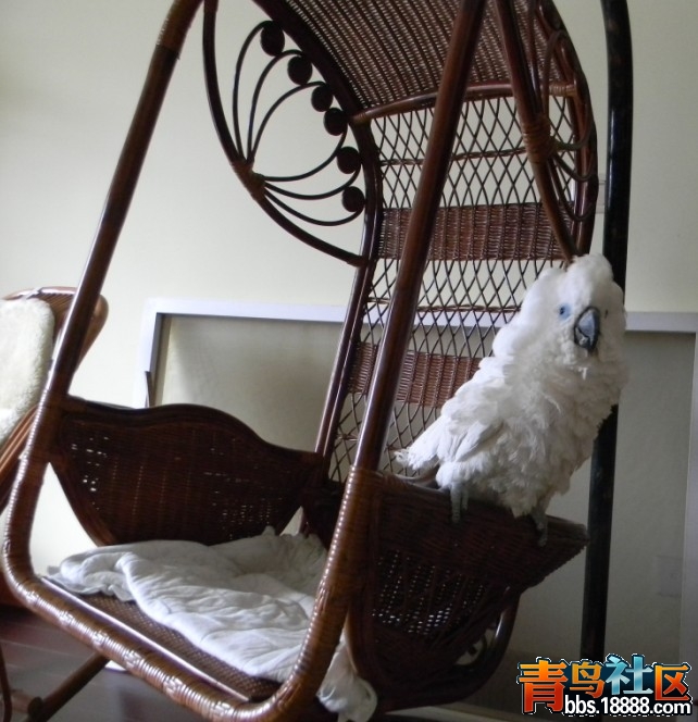 未命名5.jpg