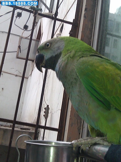 IMAG0090.jpg