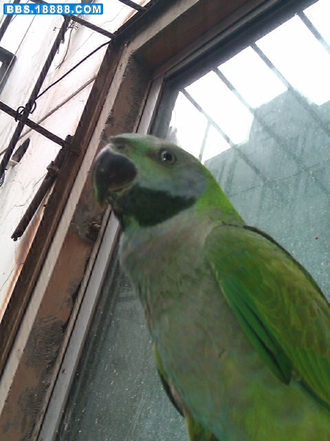 IMAG0091.jpg