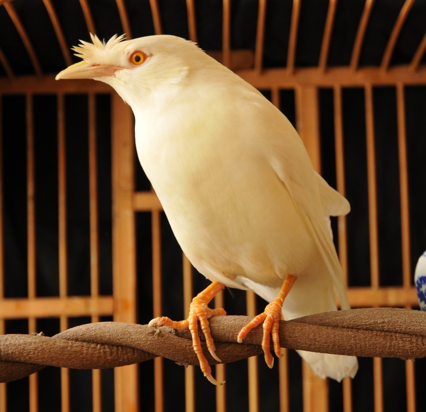 DSC_0422_conew1.jpg