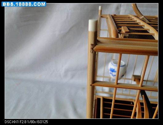 nEO_IMG_DSC03118.jpg
