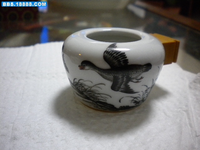 DSCN2970.JPG