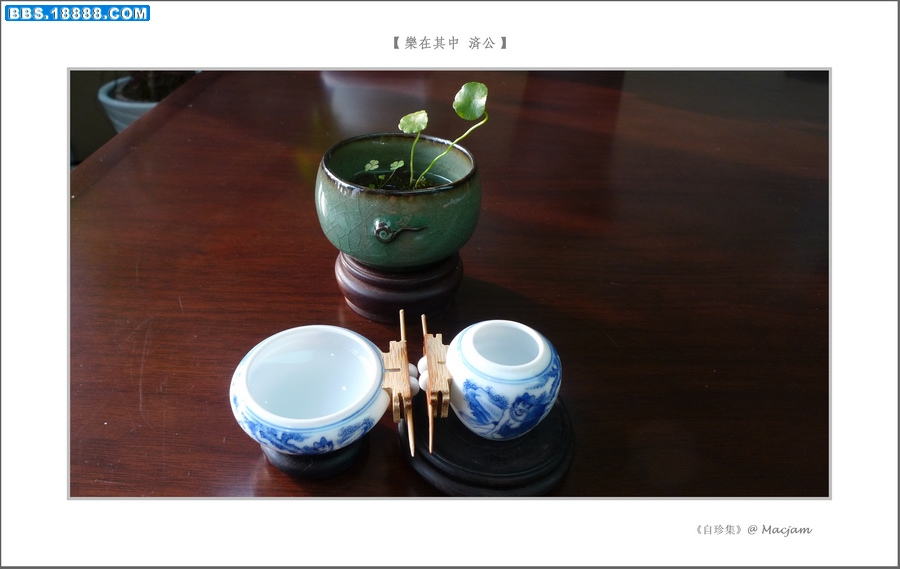 nEO_IMG_L1110738.jpg
