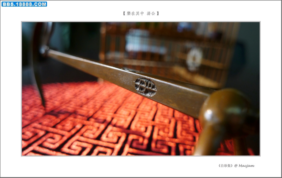 nEO_IMG_L1110664.jpg