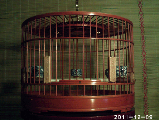 PHOT0017.gif