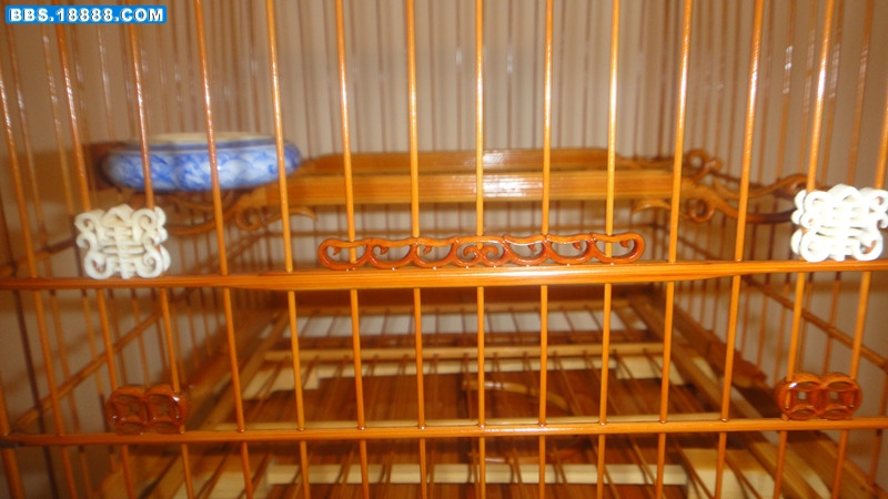 DSC02505_副本.jpg
