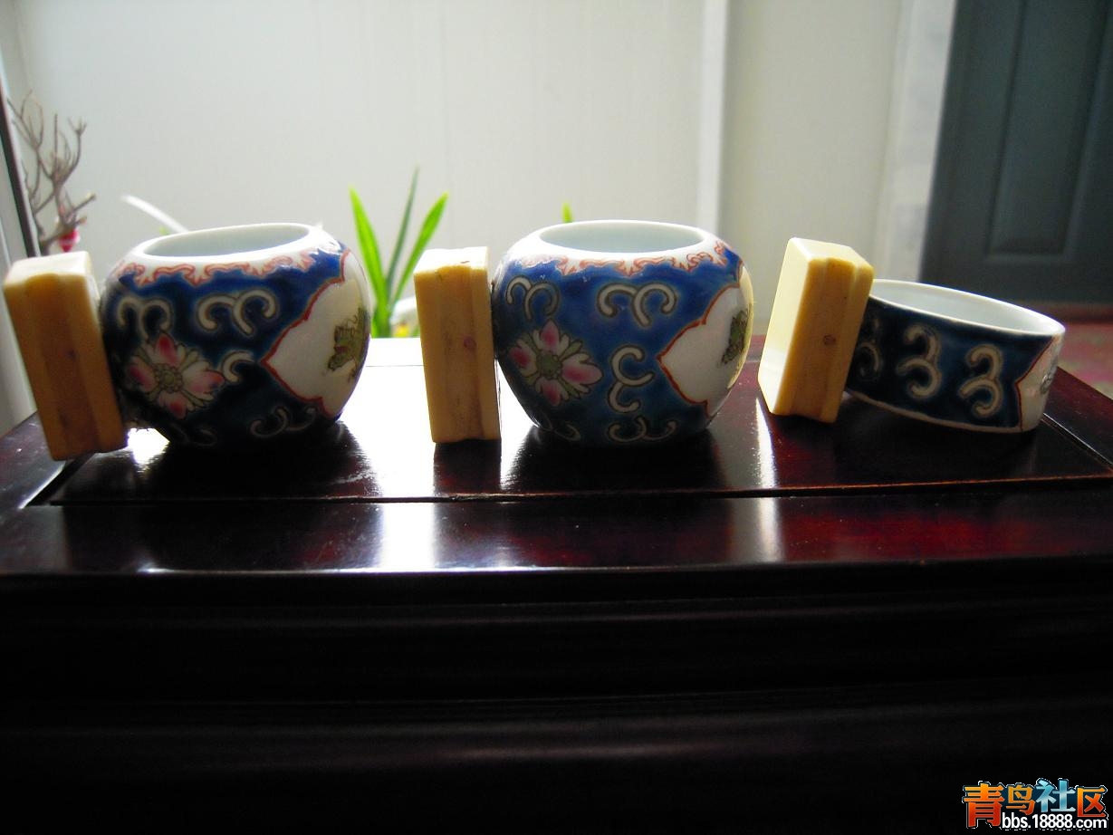 DSCN0649.JPG