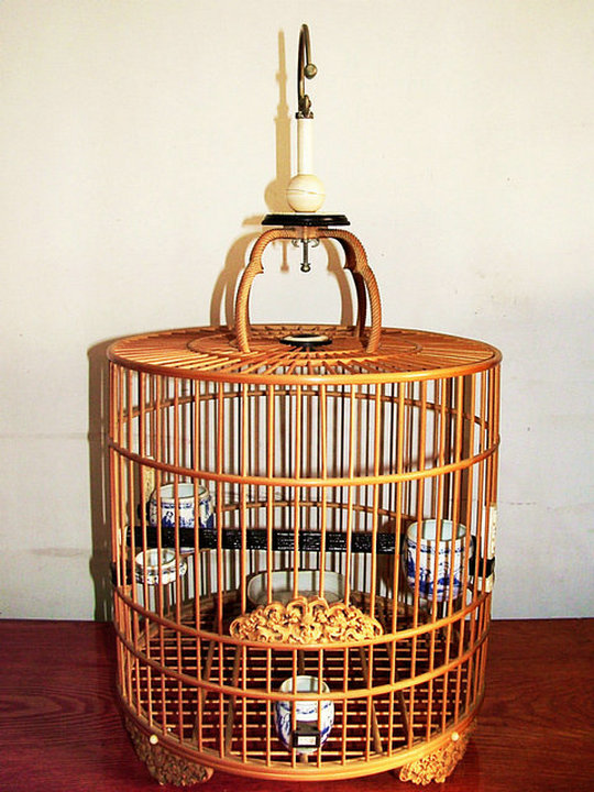 DSCF6825.JPG