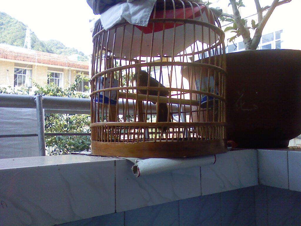 PIC-0415.jpg