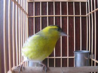 IMG_0765.jpg