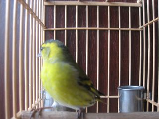 IMG_0766.jpg