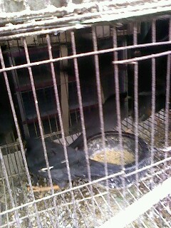 IMG0892A.jpg