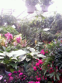 IMG0853A.jpg