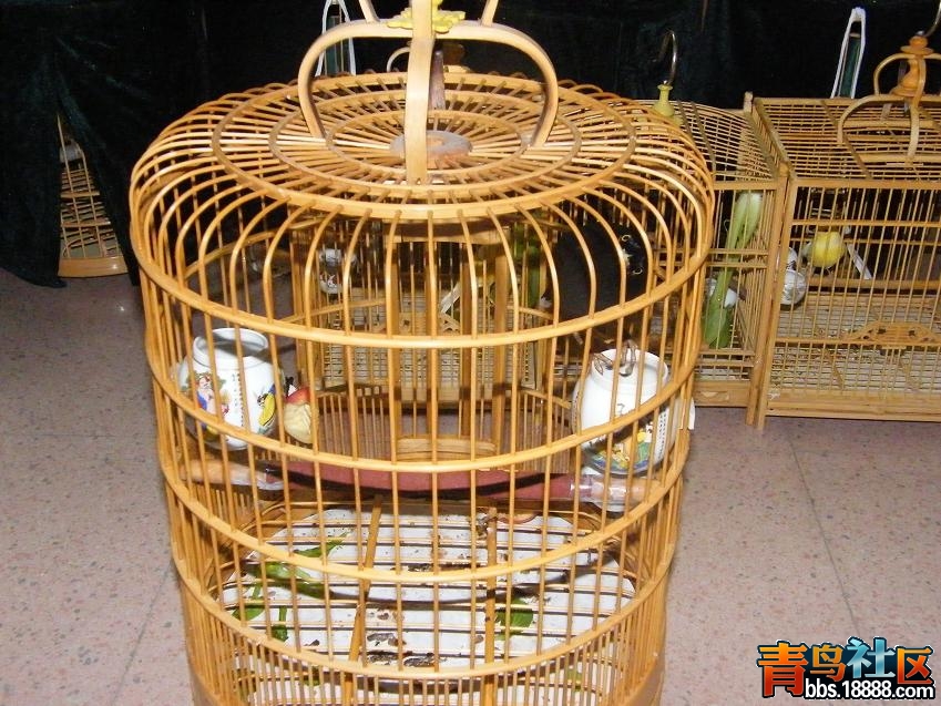 照片 042.jpg