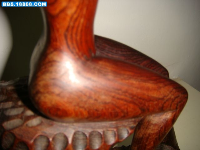 DSC06346.JPG
