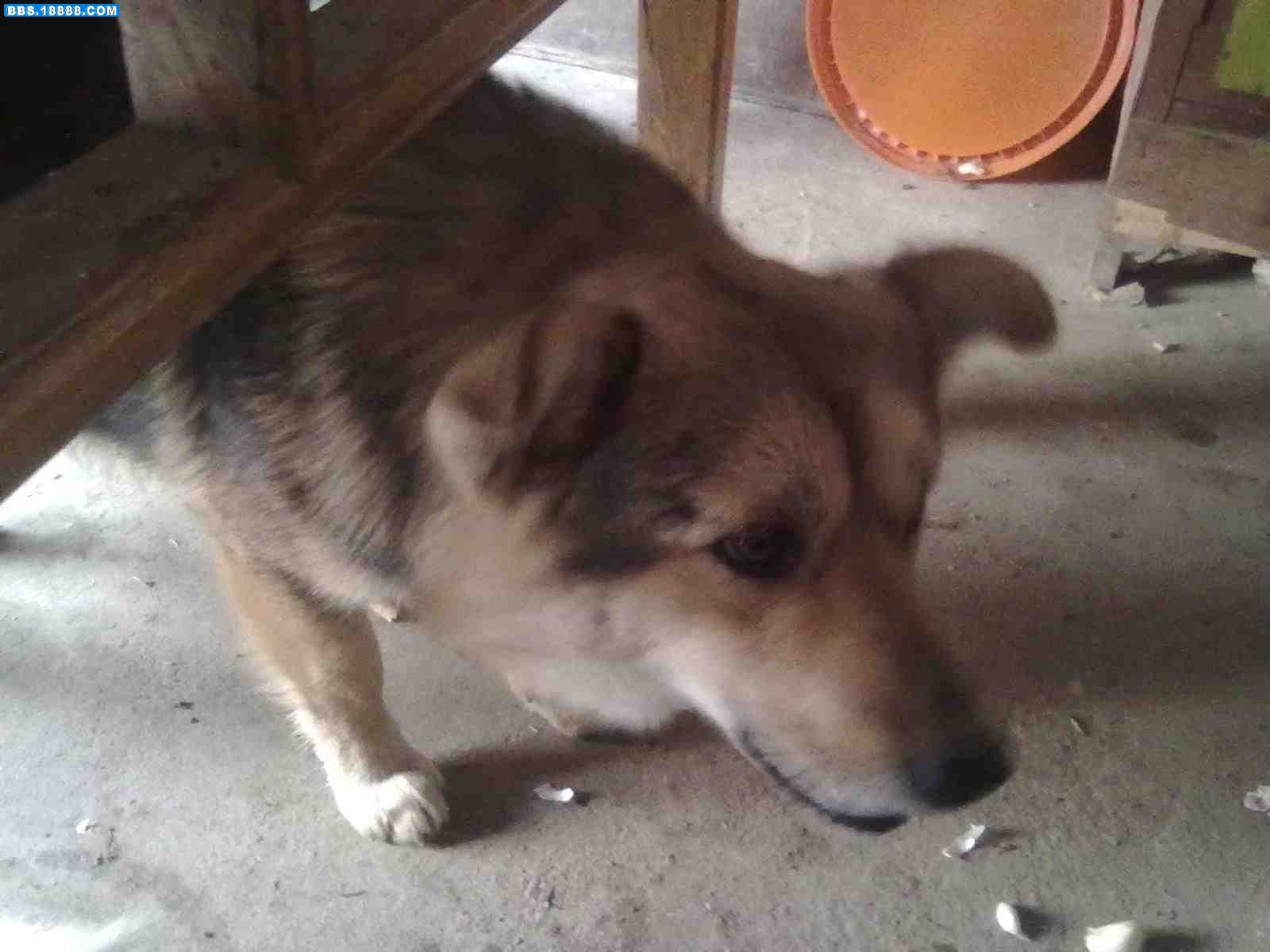 20111219200.jpg