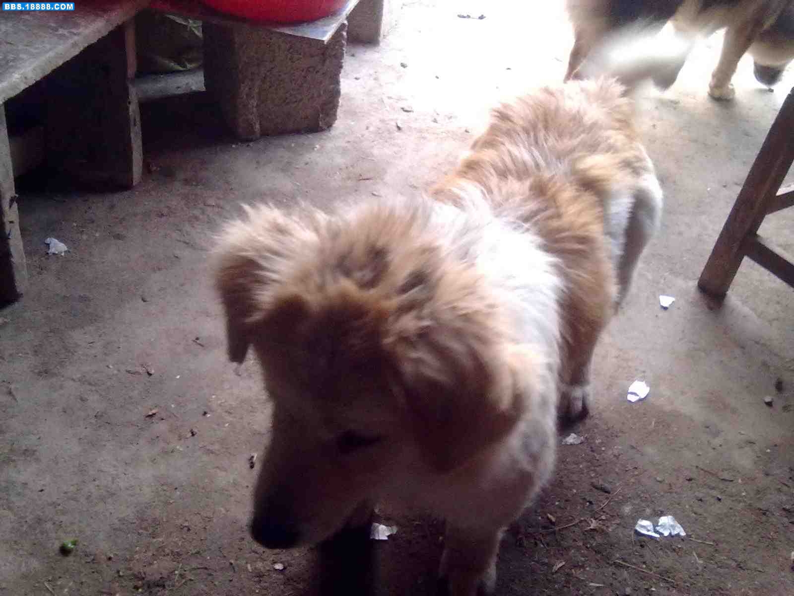 20111219209.jpg