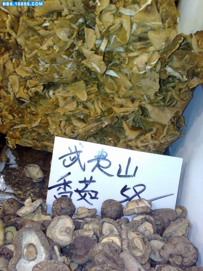 照片0480.jpg