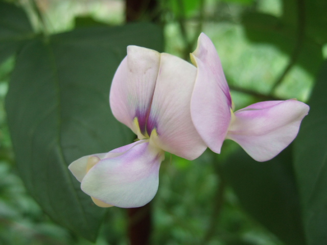 DSCF2805.JPG