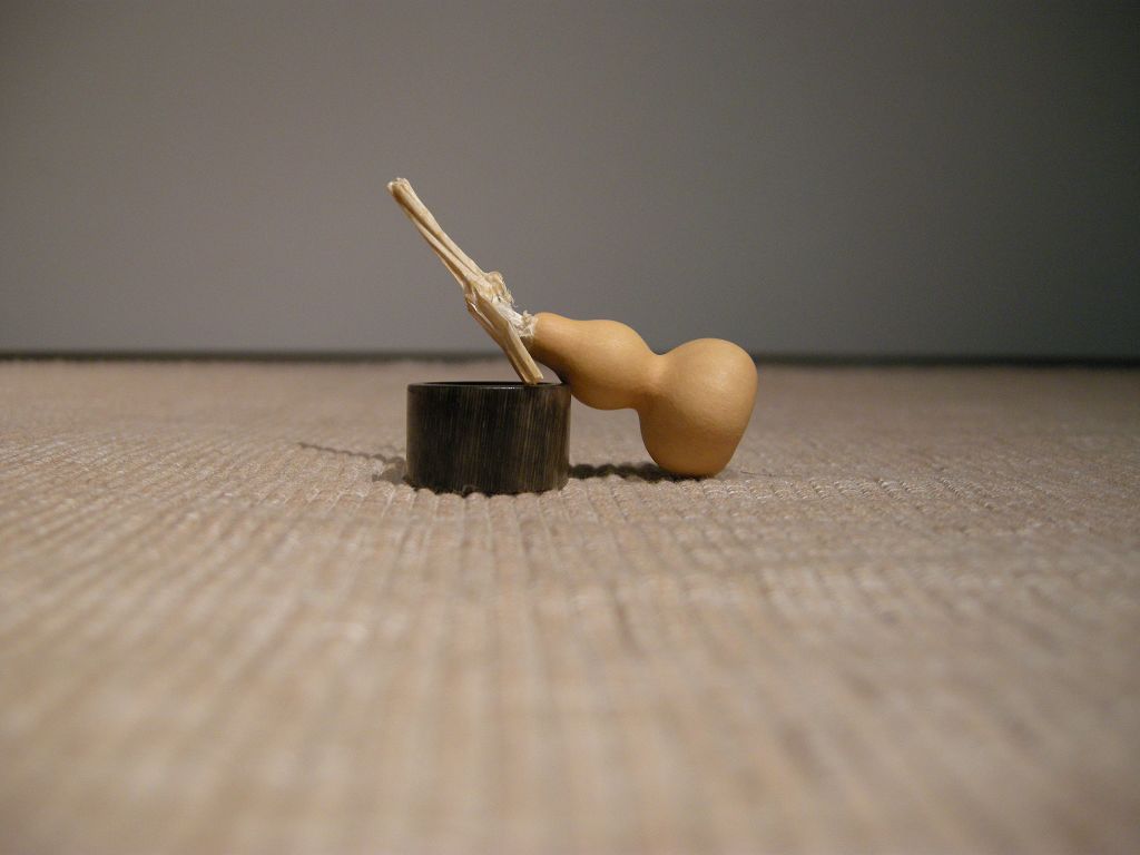 DSCN5154.jpg