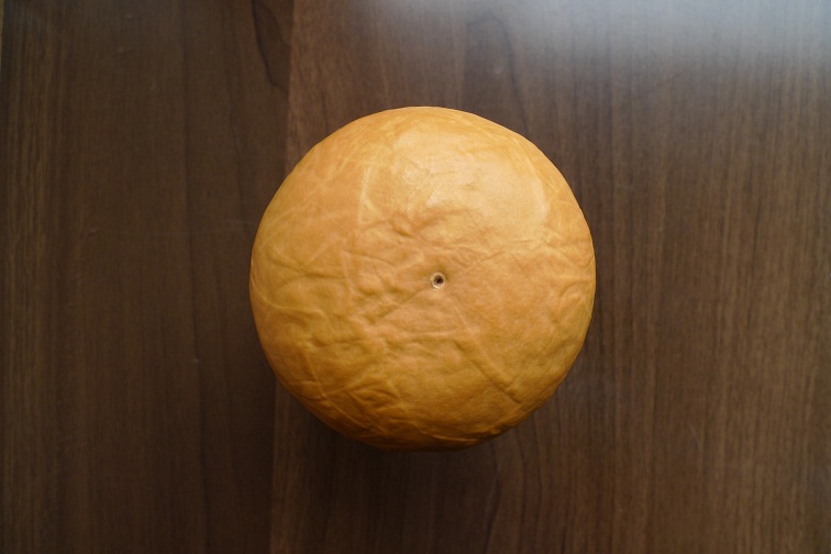 P1000886.JPG