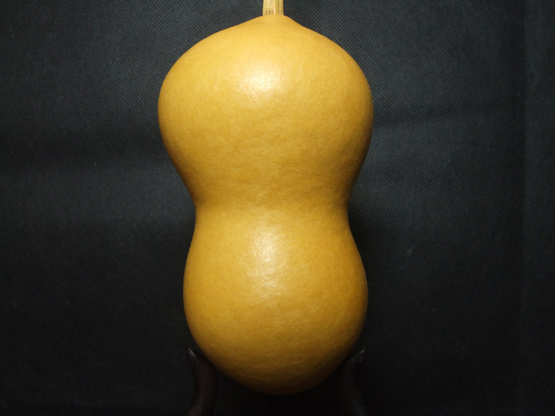 DSCF0452.JPG