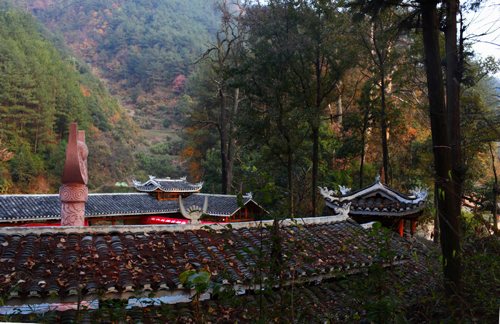 DPP_4149.jpg
