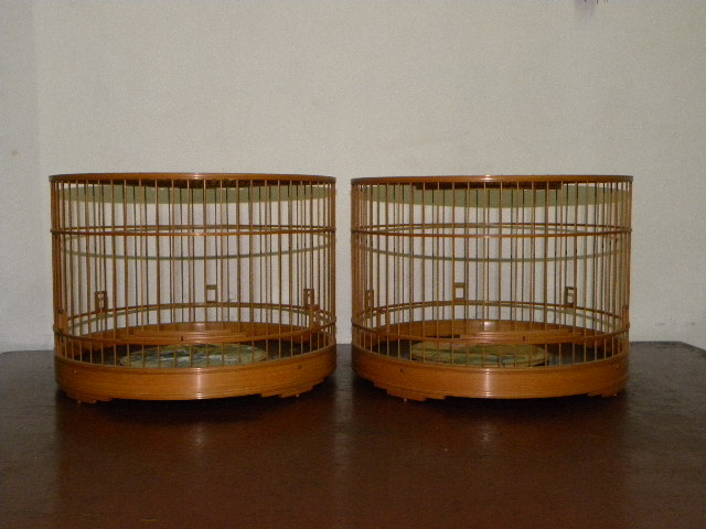 DSCN3750.JPG