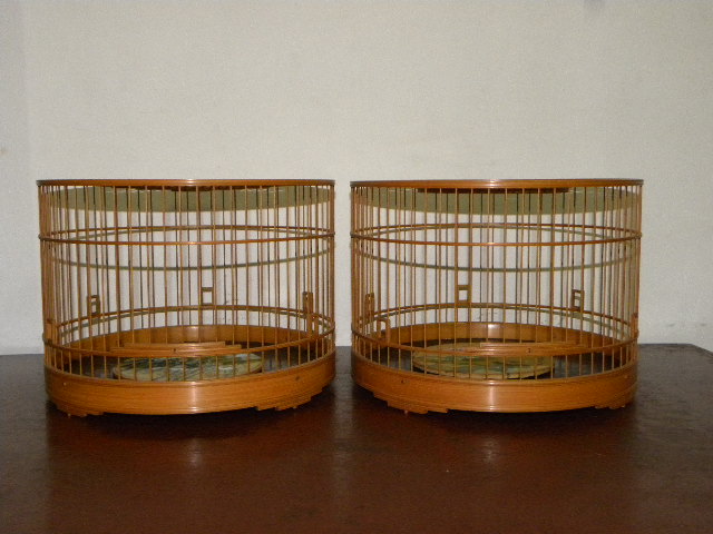 DSCN3748.JPG