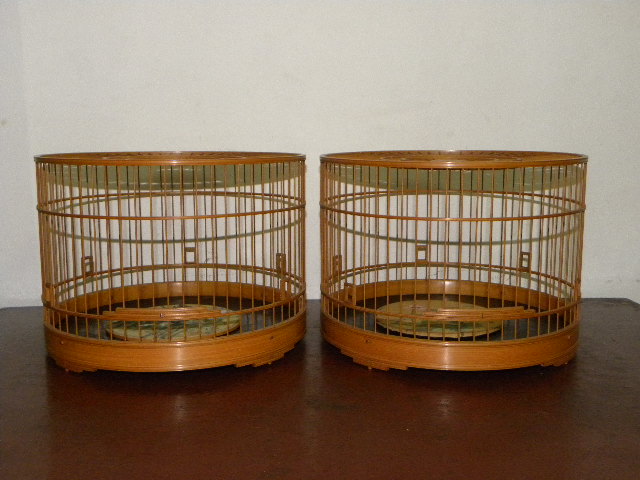 DSCN3747.JPG